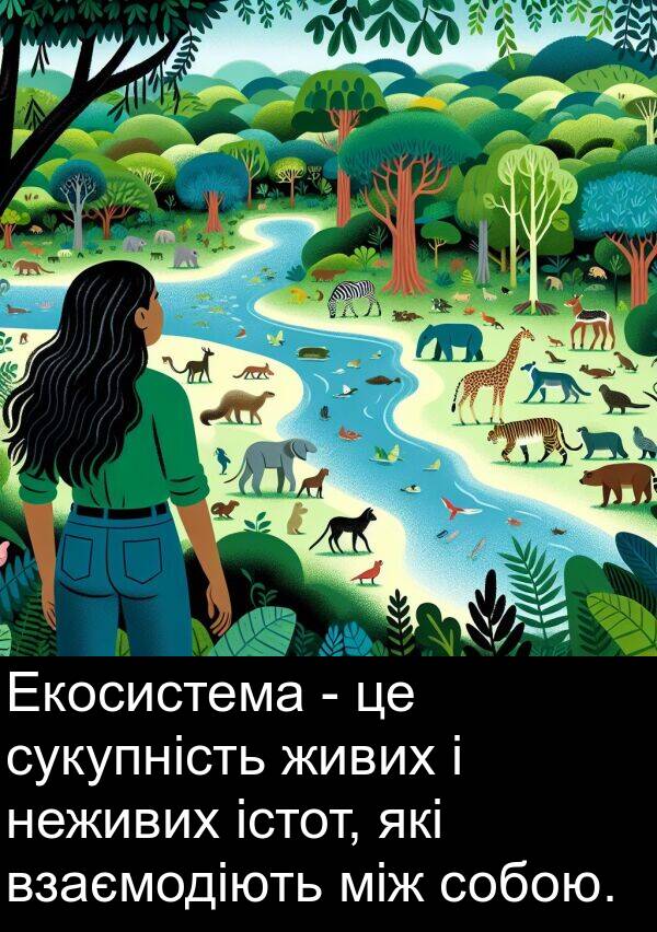 між: Екосистема - це сукупність живих і неживих істот, які взаємодіють між собою.