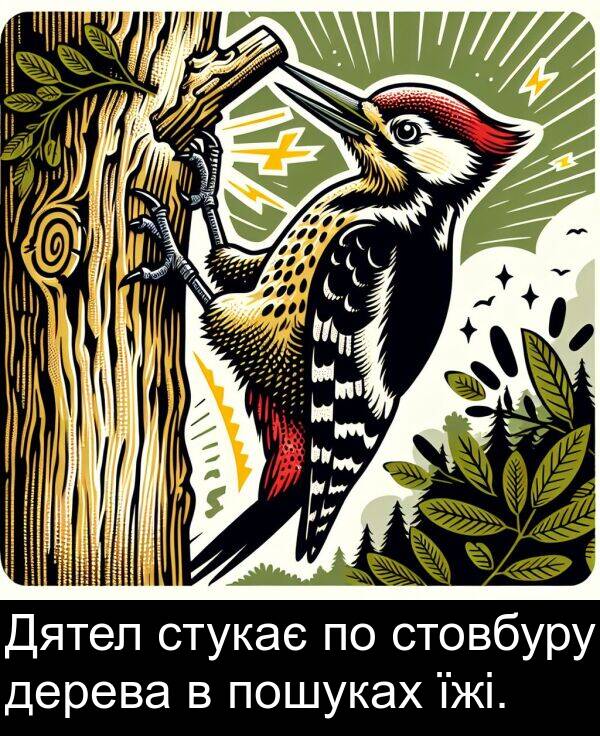 дерева: Дятел стукає по стовбуру дерева в пошуках їжі.