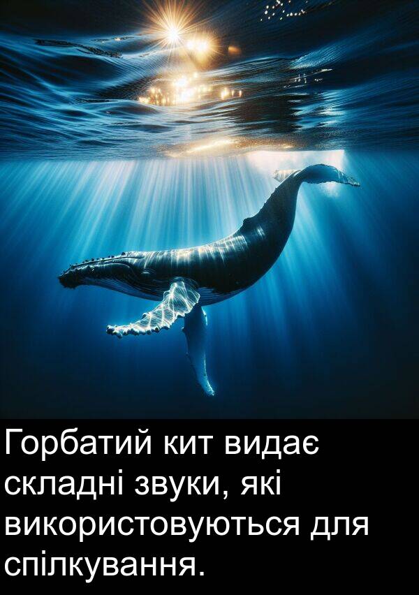 кит: Горбатий кит видає складні звуки, які використовуються для спілкування.