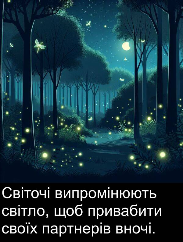 партнерів: Світочі випромінюють світло, щоб привабити своїх партнерів вночі.