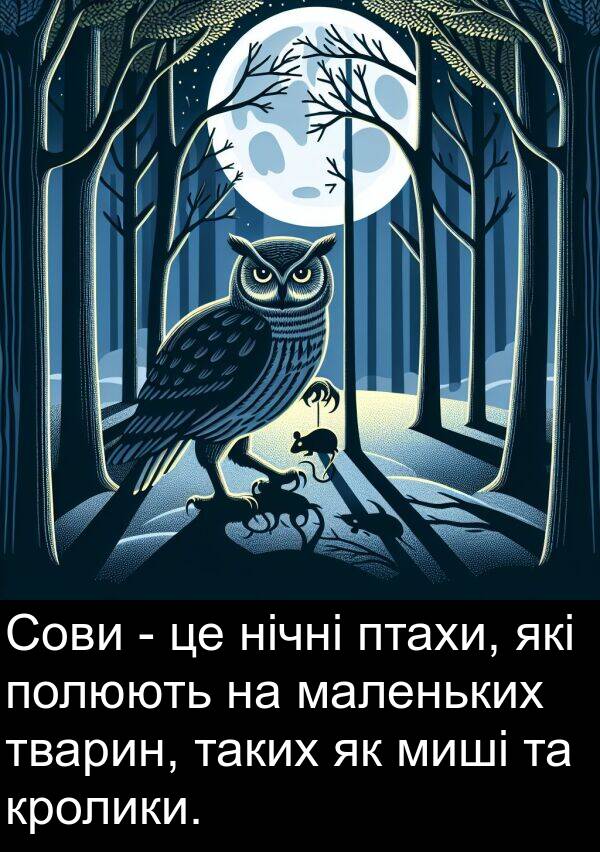 маленьких: Сови - це нічні птахи, які полюють на маленьких тварин, таких як миші та кролики.