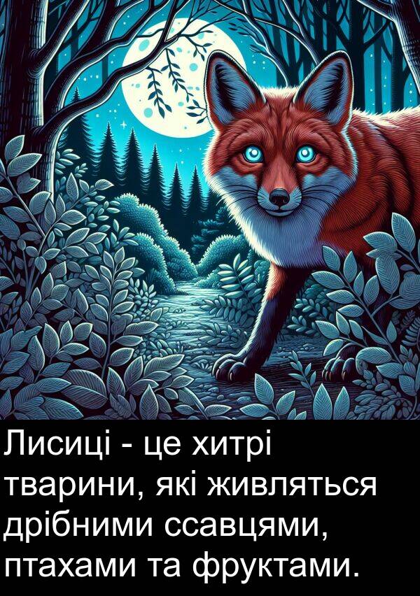 живляться: Лисиці - це хитрі тварини, які живляться дрібними ссавцями, птахами та фруктами.