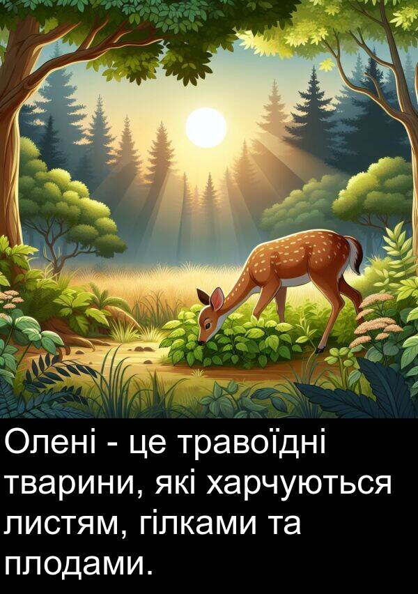 гілками: Олені - це травоїдні тварини, які харчуються листям, гілками та плодами.