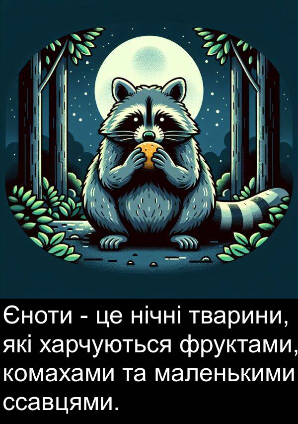 маленькими: Єноти - це нічні тварини, які харчуються фруктами, комахами та маленькими ссавцями.