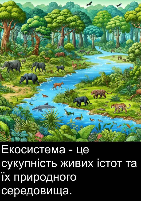 середовища: Екосистема - це сукупність живих істот та їх природного середовища.