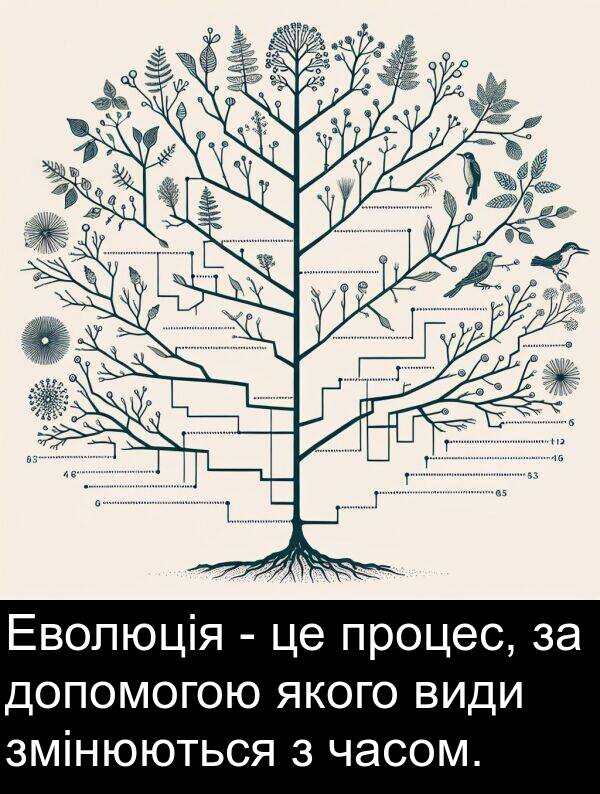 часом: Еволюція - це процес, за допомогою якого види змінюються з часом.