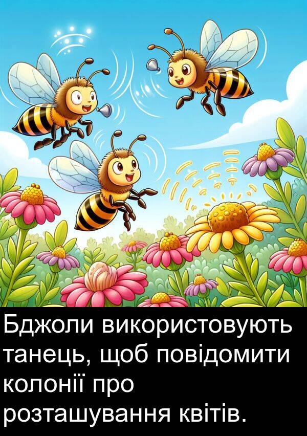 танець: Бджоли використовують танець, щоб повідомити колонії про розташування квітів.