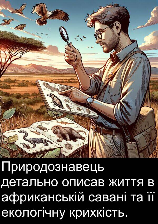 детально: Природознавець детально описав життя в африканській савані та її екологічну крихкість.