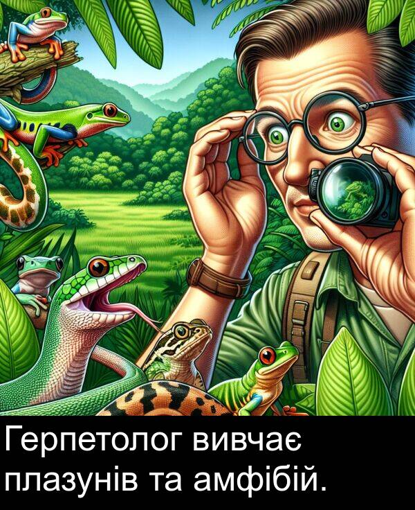 амфібій: Герпетолог вивчає плазунів та амфібій.