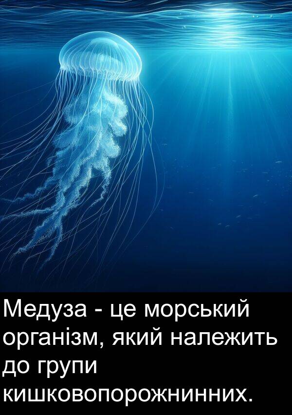 належить: Медуза - це морський організм, який належить до групи кишковопорожнинних.