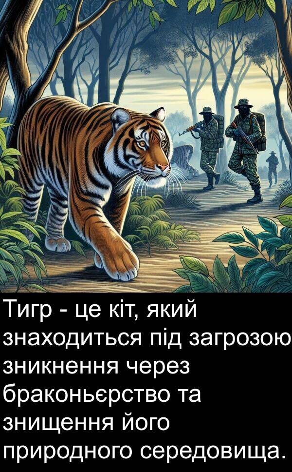 загрозою: Тигр - це кіт, який знаходиться під загрозою зникнення через браконьєрство та знищення його природного середовища.