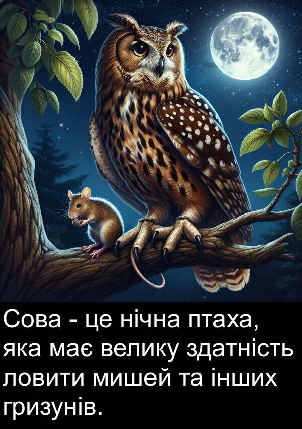 інших: Сова - це нічна птаха, яка має велику здатність ловити мишей та інших гризунів.