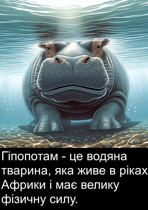 ріках: Гіпопотам - це водяна тварина, яка живе в ріках Африки і має велику фізичну силу.