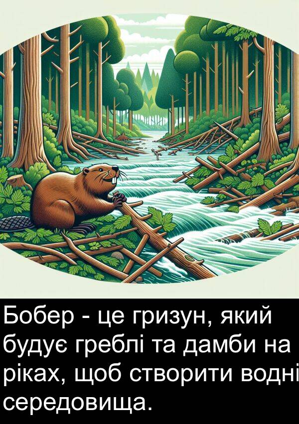 ріках: Бобер - це гризун, який будує греблі та дамби на ріках, щоб створити водні середовища.