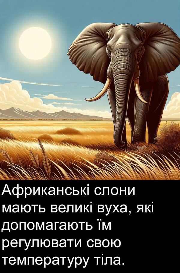 мають: Африканські слони мають великі вуха, які допомагають їм регулювати свою температуру тіла.
