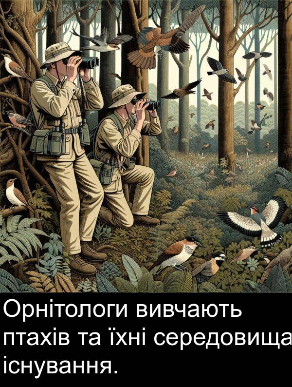 середовища: Орнітологи вивчають птахів та їхні середовища існування.