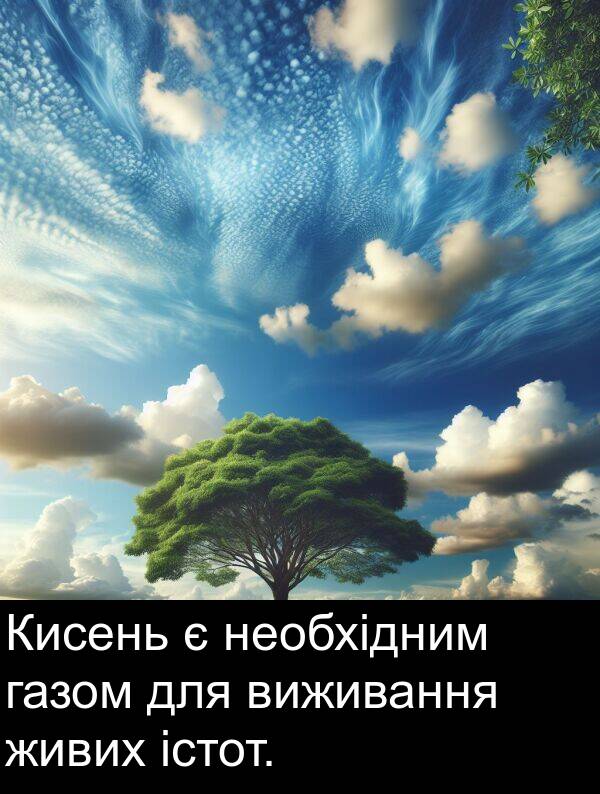 живих: Кисень є необхідним газом для виживання живих істот.