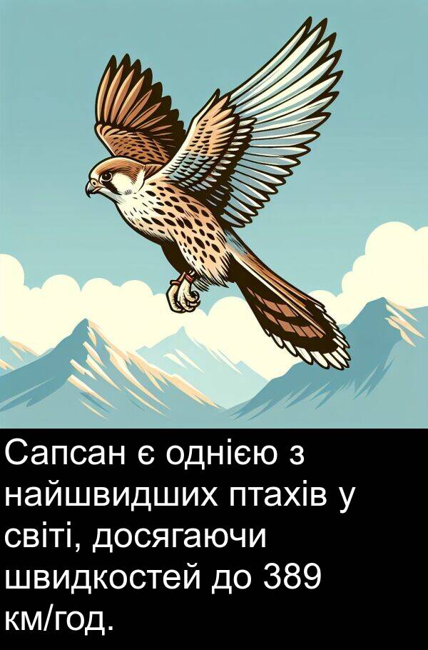 найшвидших: Сапсан є однією з найшвидших птахів у світі, досягаючи швидкостей до 389 км/год.