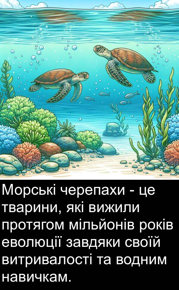 завдяки: Морські черепахи - це тварини, які вижили протягом мільйонів років еволюції завдяки своїй витривалості та водним навичкам.