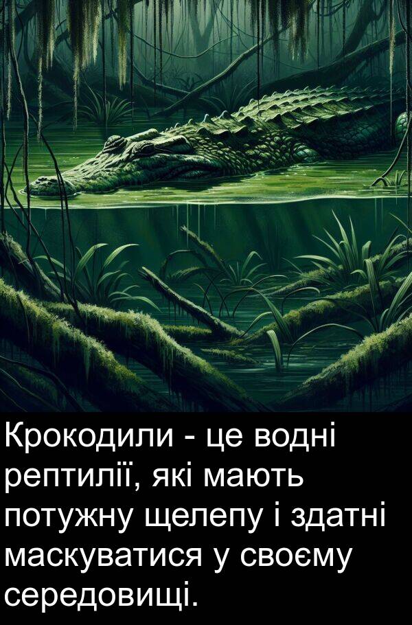 щелепу: Крокодили - це водні рептилії, які мають потужну щелепу і здатні маскуватися у своєму середовищі.