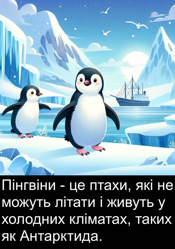 кліматах: Пінгвіни - це птахи, які не можуть літати і живуть у холодних кліматах, таких як Антарктида.