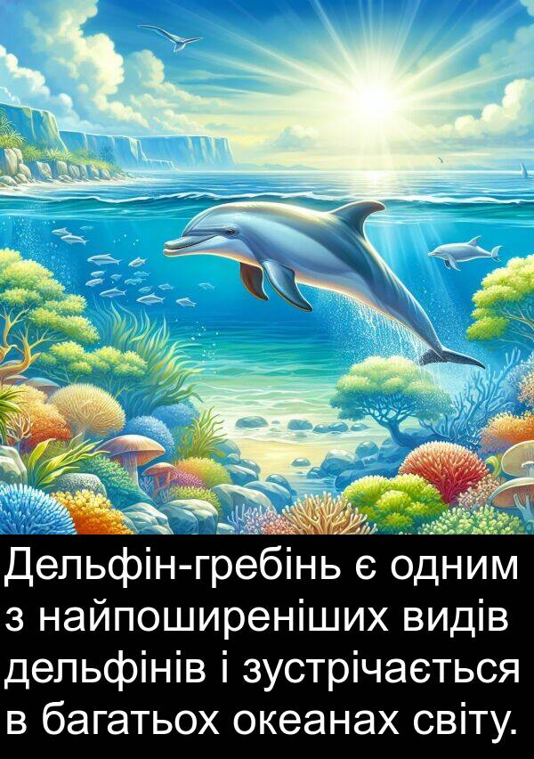 дельфінів: Дельфін-гребінь є одним з найпоширеніших видів дельфінів і зустрічається в багатьох океанах світу.
