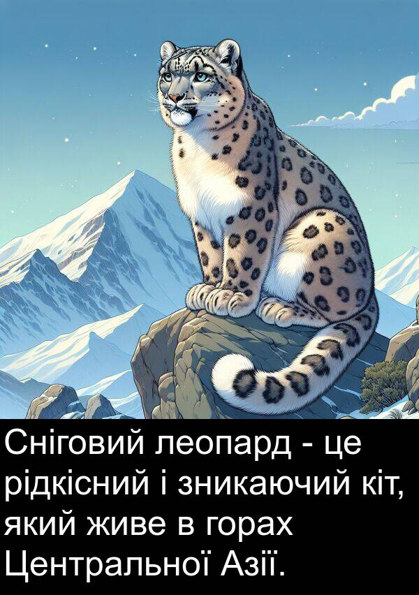 рідкісний: Сніговий леопард - це рідкісний і зникаючий кіт, який живе в горах Центральної Азії.