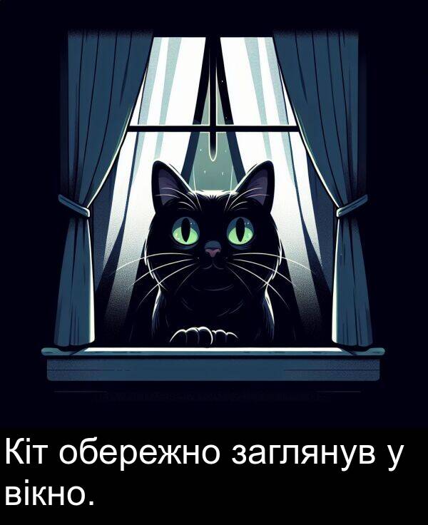 заглянув: Кіт обережно заглянув у вікно.