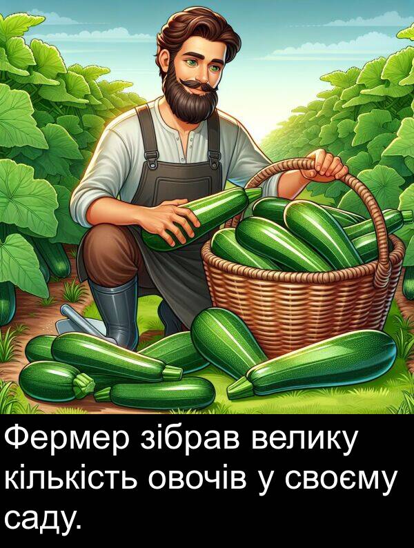 зібрав: Фермер зібрав велику кількість овочів у своєму саду.