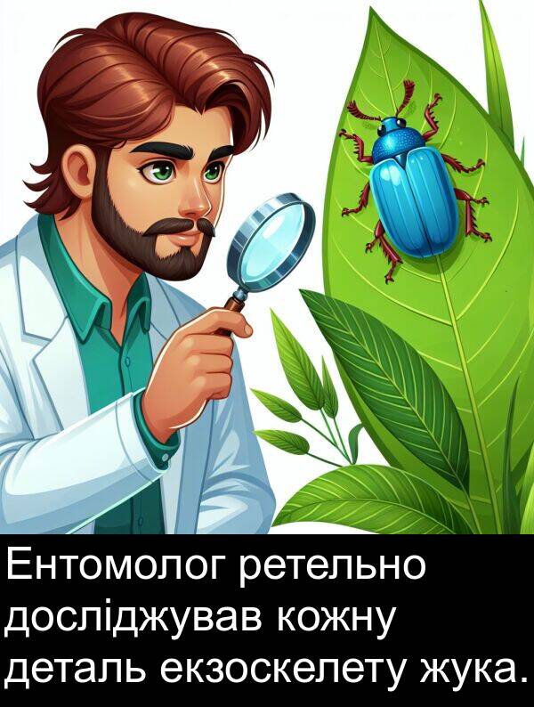 деталь: Ентомолог ретельно досліджував кожну деталь екзоскелету жука.