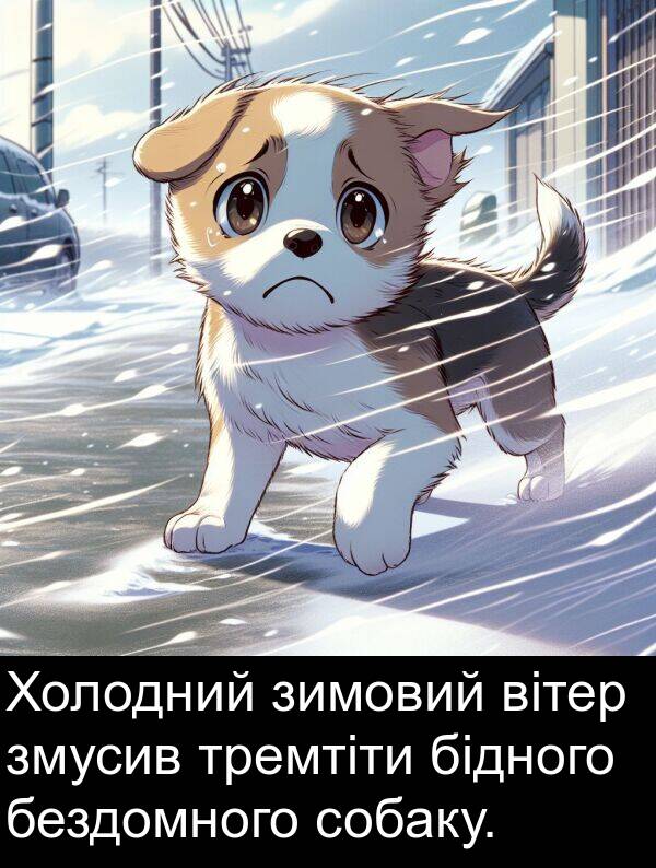 бездомного: Холодний зимовий вітер змусив тремтіти бідного бездомного собаку.
