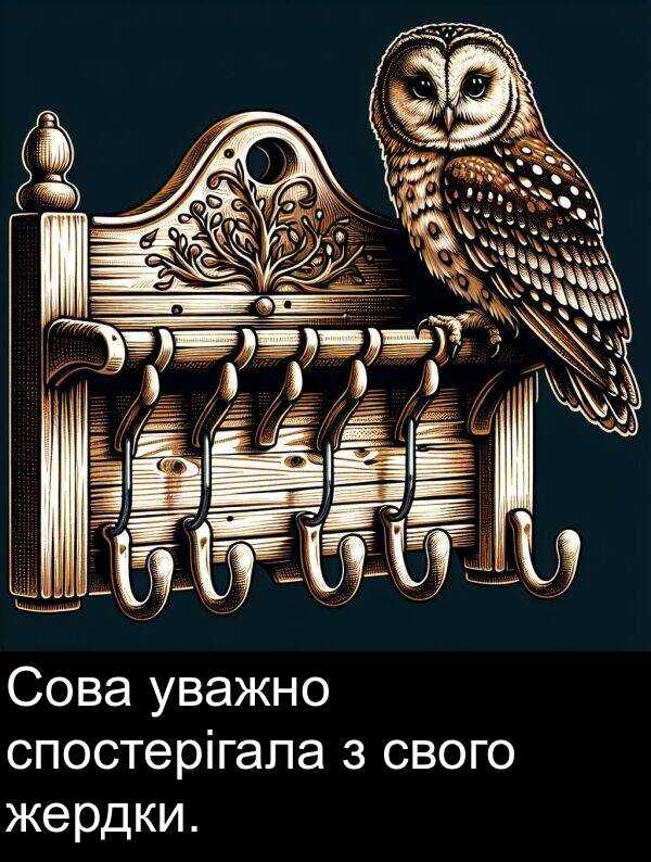 свого: Сова уважно спостерігала з свого жердки.