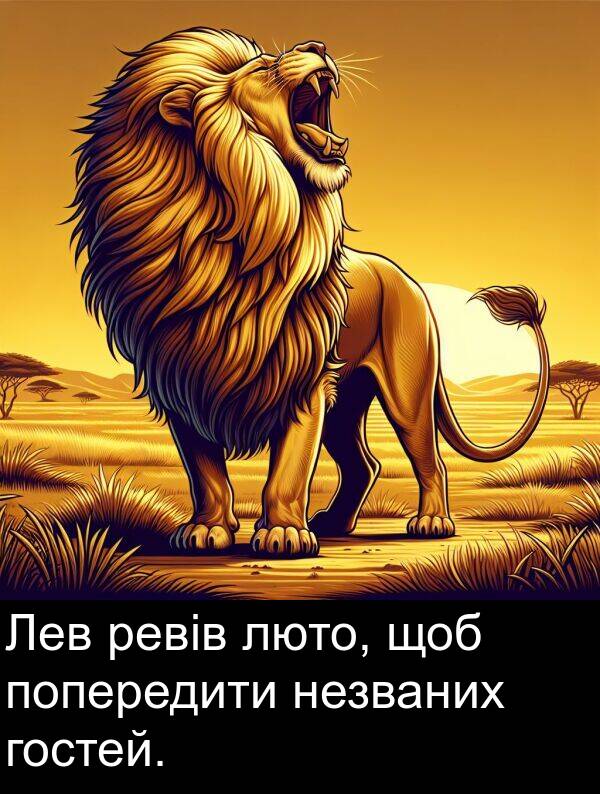 ревів: Лев ревів люто, щоб попередити незваних гостей.