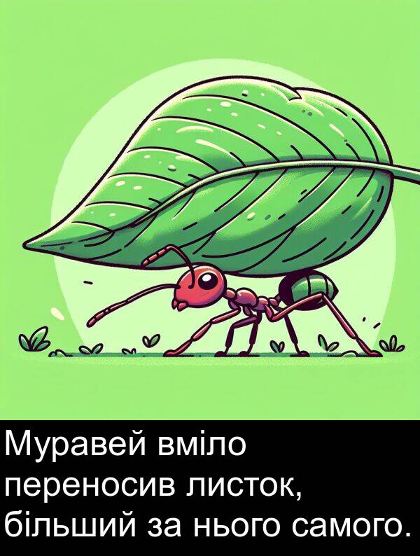 листок: Муравей вміло переносив листок, більший за нього самого.