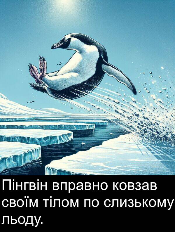 льоду: Пінгвін вправно ковзав своїм тілом по слизькому льоду.