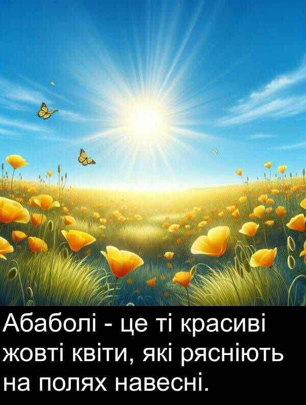 навесні: Абаболі - це ті красиві жовті квіти, які рясніють на полях навесні.