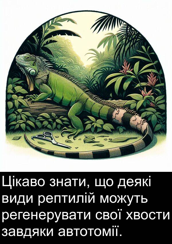 завдяки: Цікаво знати, що деякі види рептилій можуть регенерувати свої хвости завдяки автотомії.