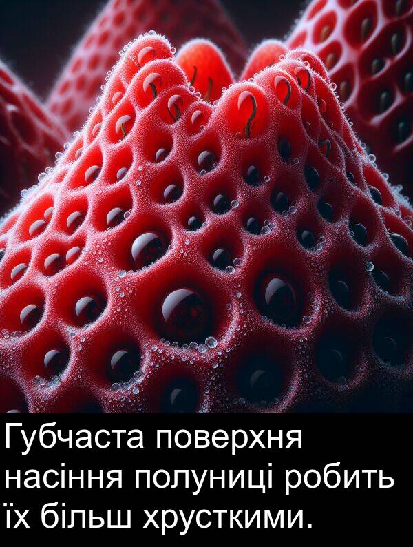 більш: Губчаста поверхня насіння полуниці робить їх більш хрусткими.