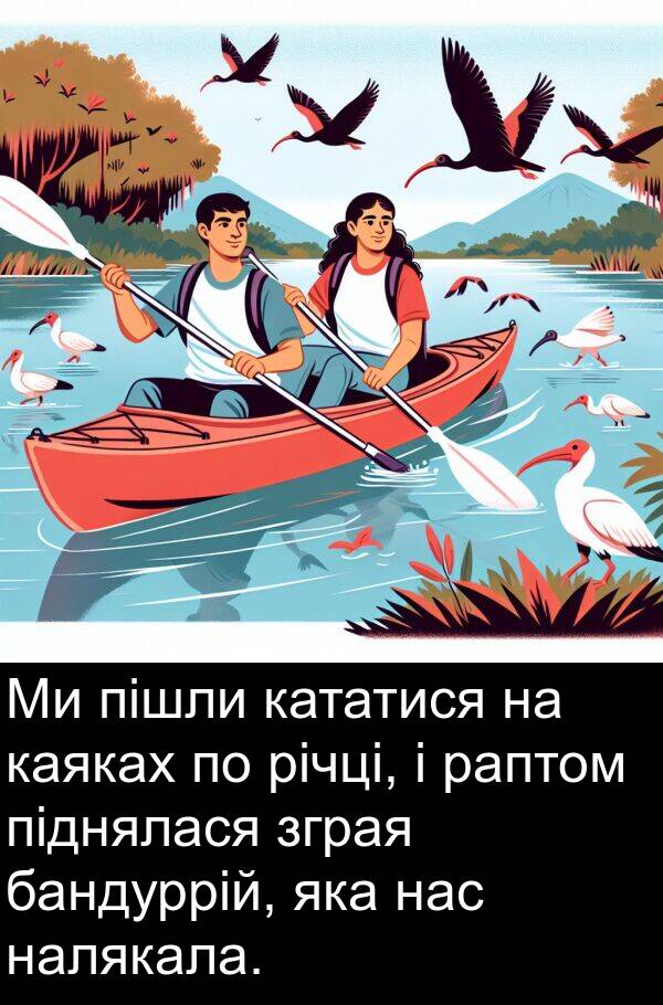 піднялася: Ми пішли кататися на каяках по річці, і раптом піднялася зграя бандуррій, яка нас налякала.