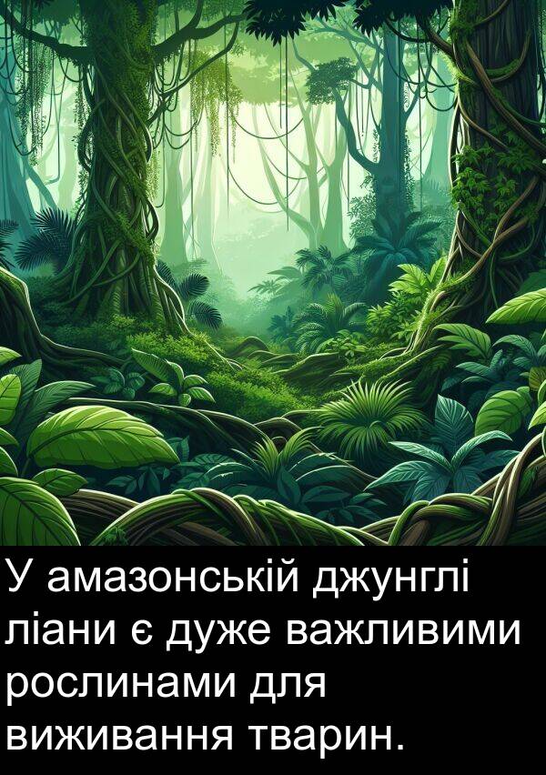 амазонській: У амазонській джунглі ліани є дуже важливими рослинами для виживання тварин.