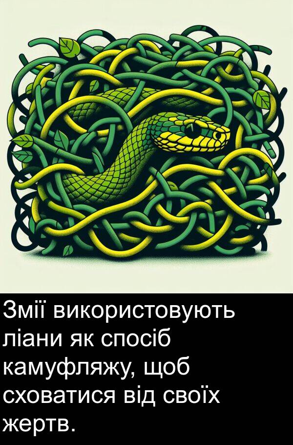 жертв: Змії використовують ліани як спосіб камуфляжу, щоб сховатися від своїх жертв.