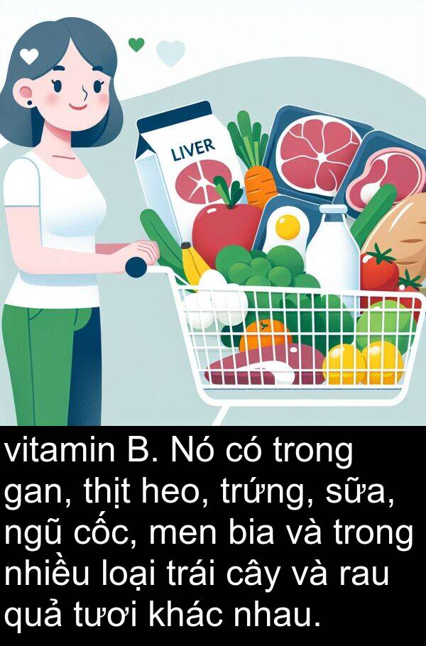 sữa: vitamin B. Nó có trong gan, thịt heo, trứng, sữa, ngũ cốc, men bia và trong nhiều loại trái cây và rau quả tươi khác nhau.