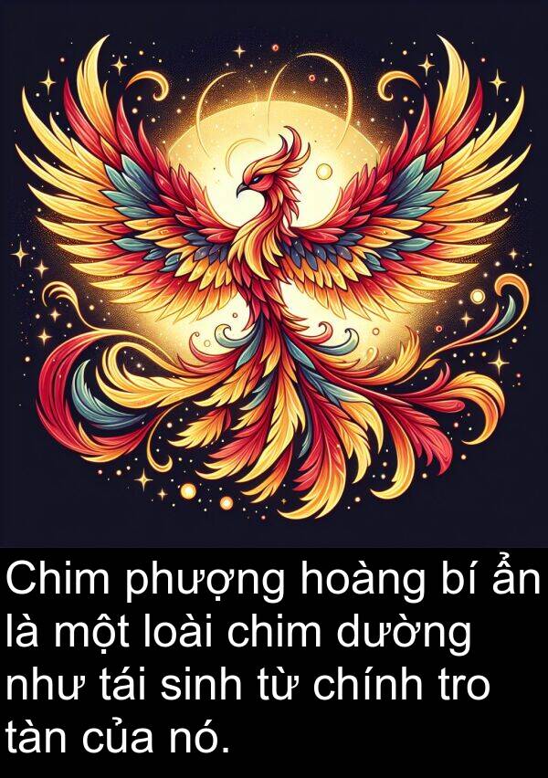 phượng: Chim phượng hoàng bí ẩn là một loài chim dường như tái sinh từ chính tro tàn của nó.