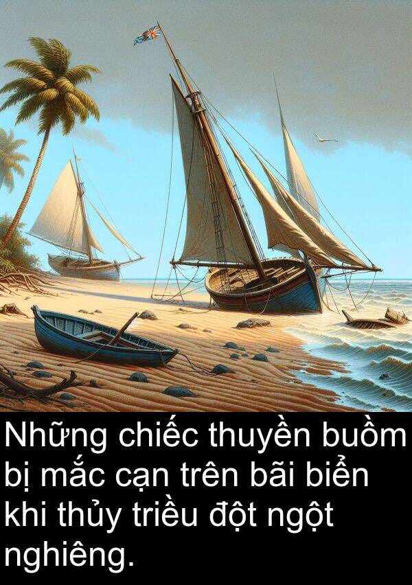 thuyền: Những chiếc thuyền buồm bị mắc cạn trên bãi biển khi thủy triều đột ngột nghiêng.