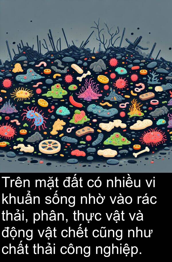 nghiệp: Trên mặt đất có nhiều vi khuẩn sống nhờ vào rác thải, phân, thực vật và động vật chết cũng như chất thải công nghiệp.