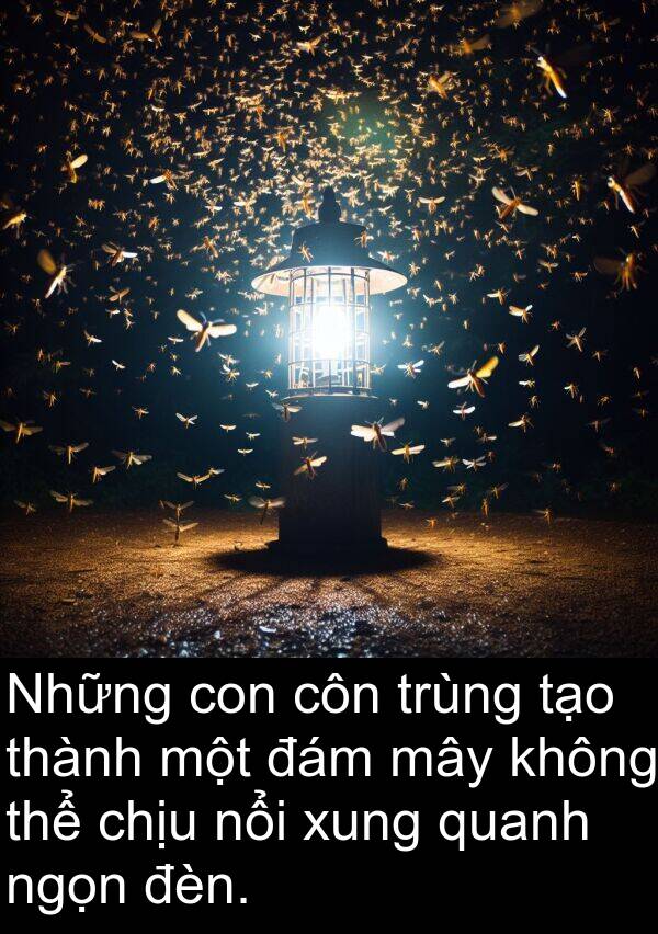 mây: Những con côn trùng tạo thành một đám mây không thể chịu nổi xung quanh ngọn đèn.