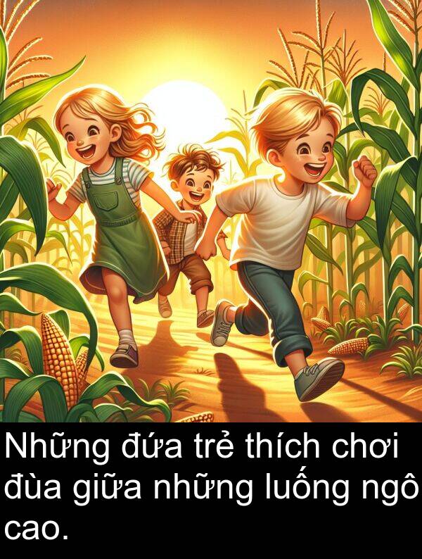 ngô: Những đứa trẻ thích chơi đùa giữa những luống ngô cao.