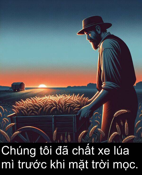 lúa: Chúng tôi đã chất xe lúa mì trước khi mặt trời mọc.