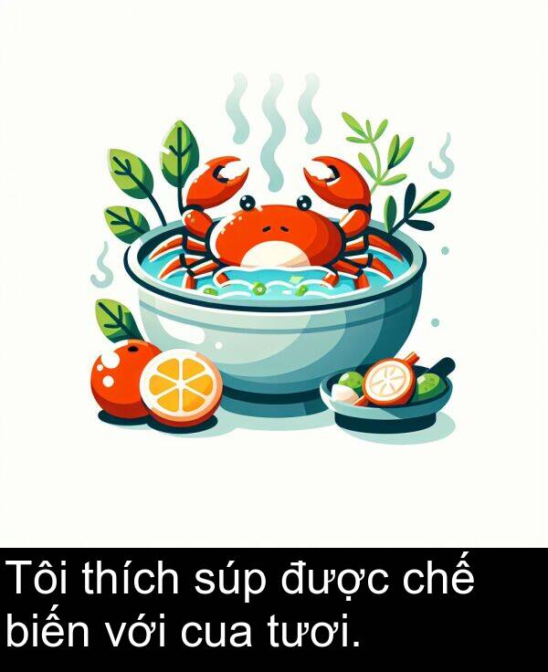 cua: Tôi thích súp được chế biến với cua tươi.