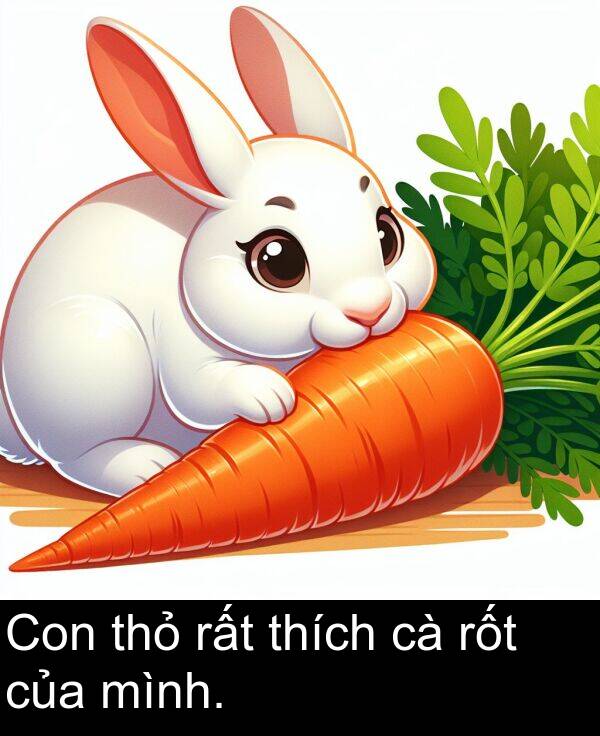 thích: Con thỏ rất thích cà rốt của mình.